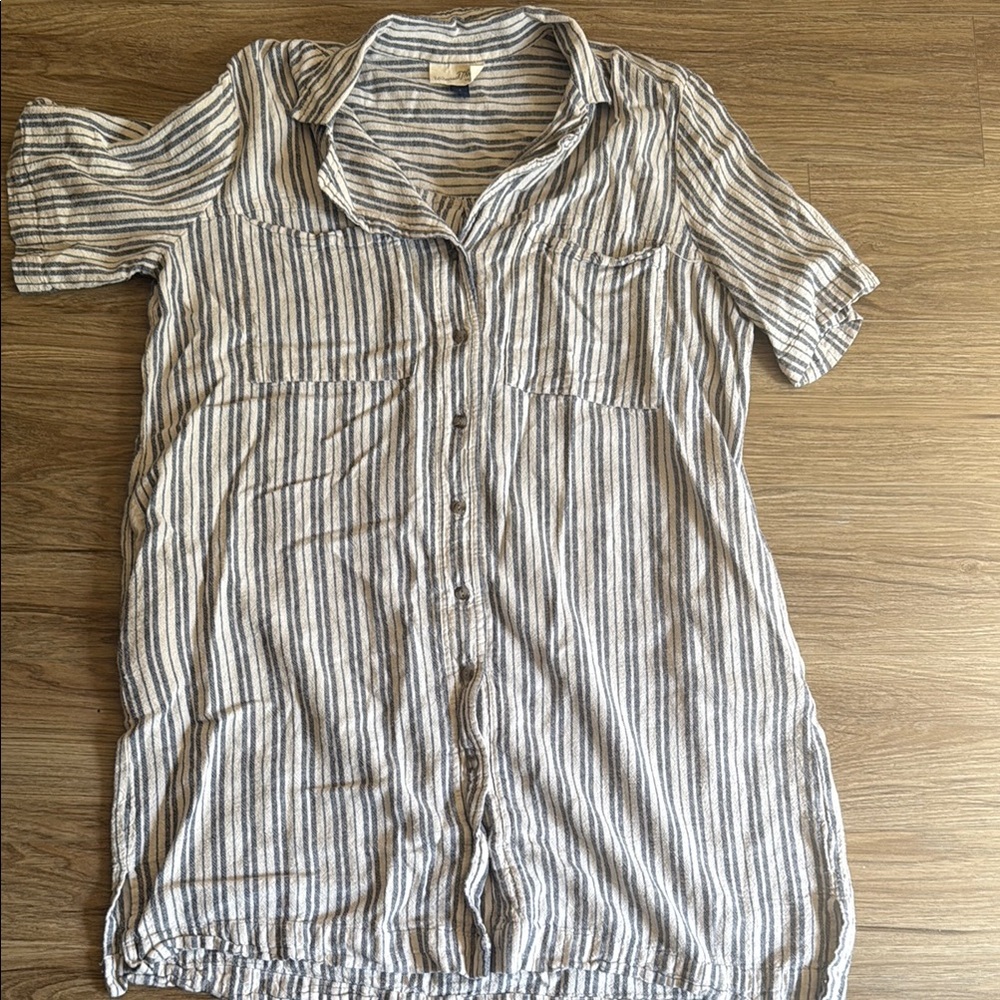 Striped Blue and White Button Down Dress